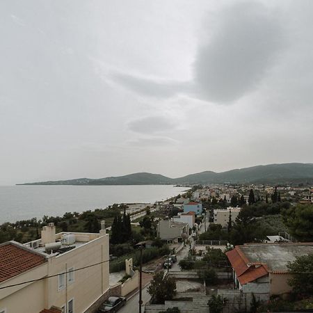 Niki House Apartamento Volos Exterior foto
